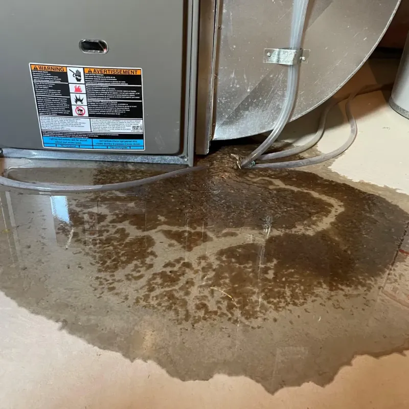 Appliance Leak Cleanup in Edmonston, MD