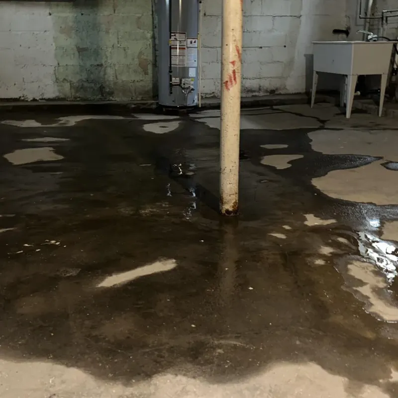 Emergency Water Extraction And Removal in Edmonston, MD